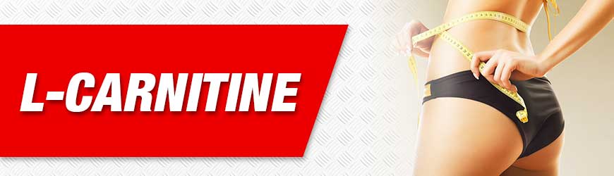 L Carnitine